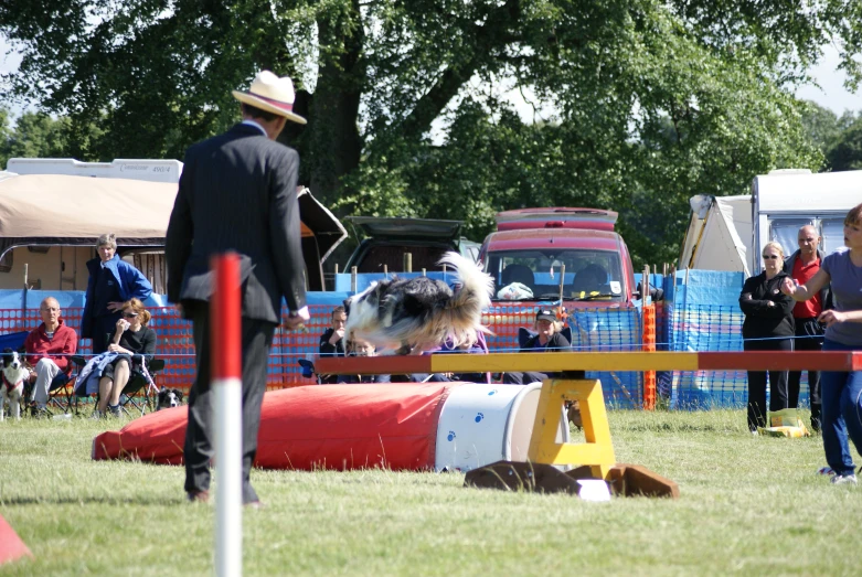 dog getting ready to jump over obstacle at dog show