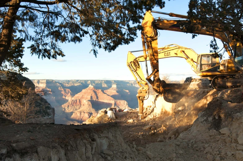 a picture of a giant excavator near a big tree