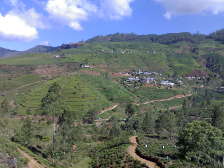 a hill that has some houses on it