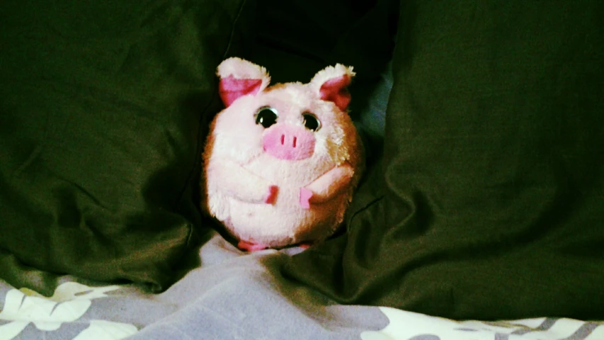 a pig doll is wrapped in a blanket