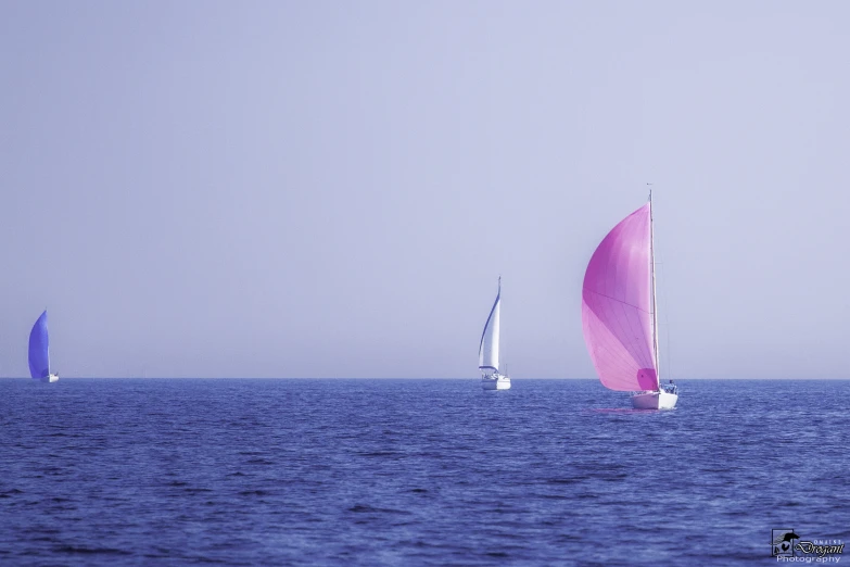 several sailboats out on the water during a sunny day