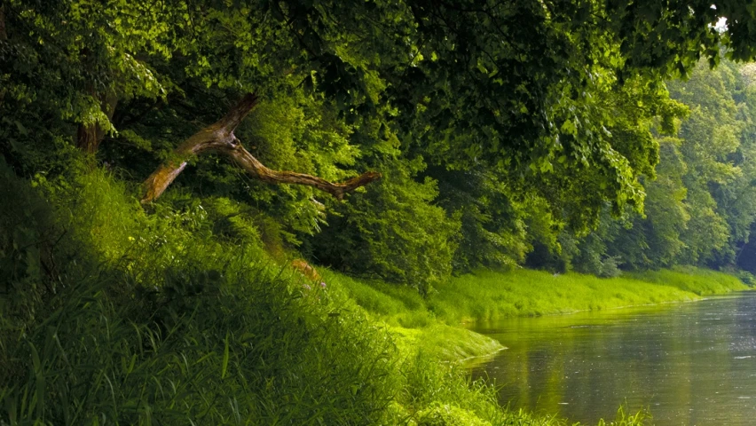 the view down a river on a sunny day