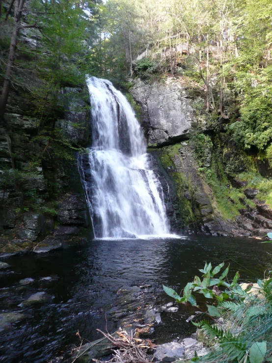 a waterfall running down a large rock in the middle of the forest