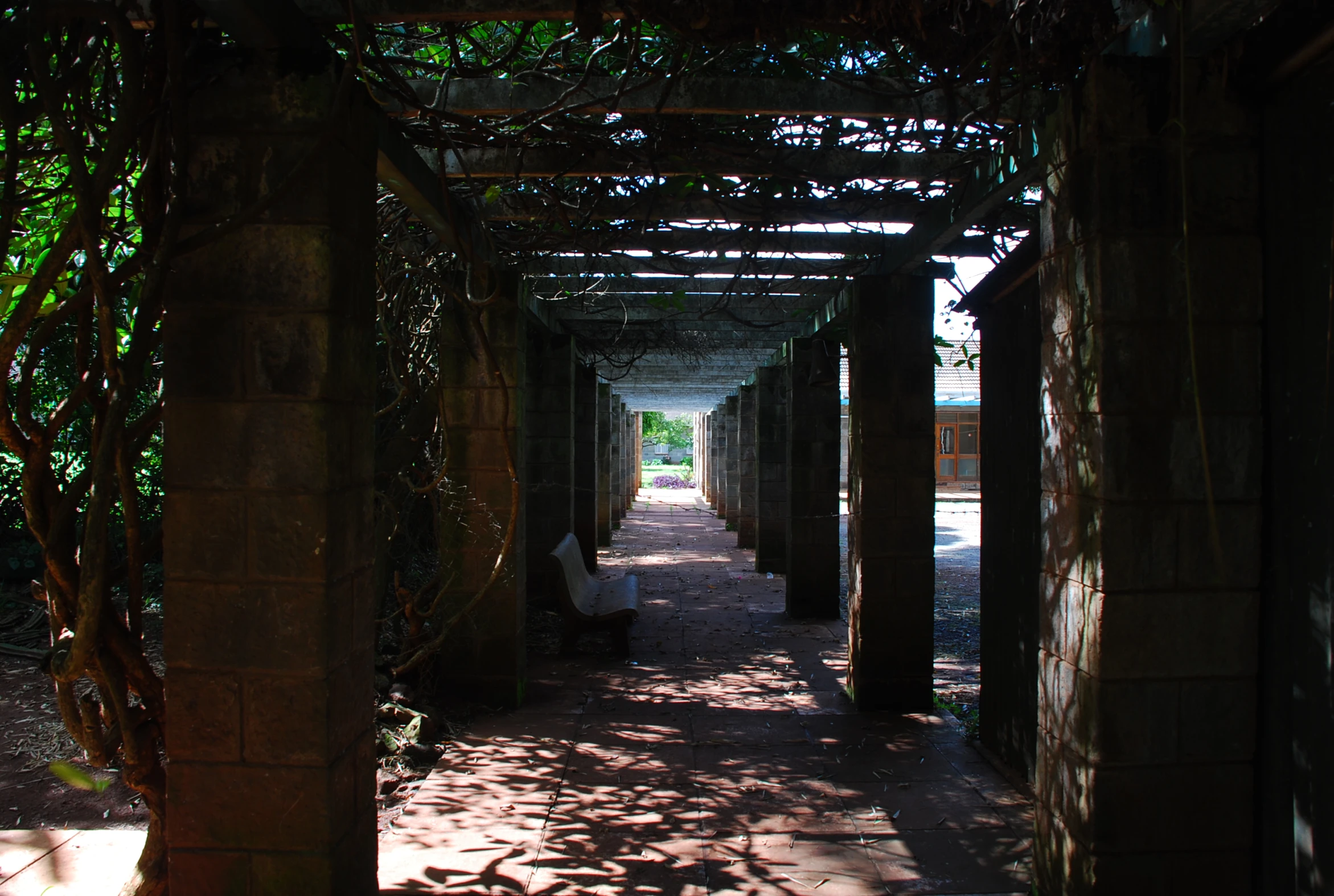 an open walkway with a row of tree lined arches