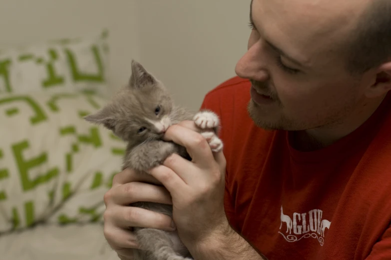 a man is holding a kitten in his hands