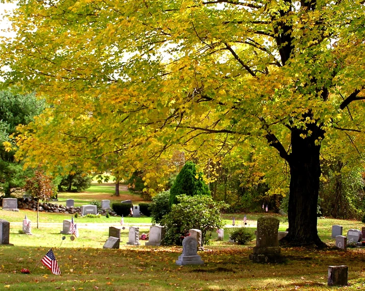 many gravestones surrounded by fall leaves in a cemetery