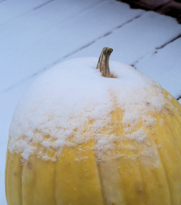 a snow covered pumpkin sitting on a wooden surface