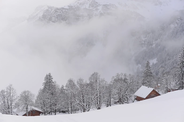 some very pretty wooden houses in the snow