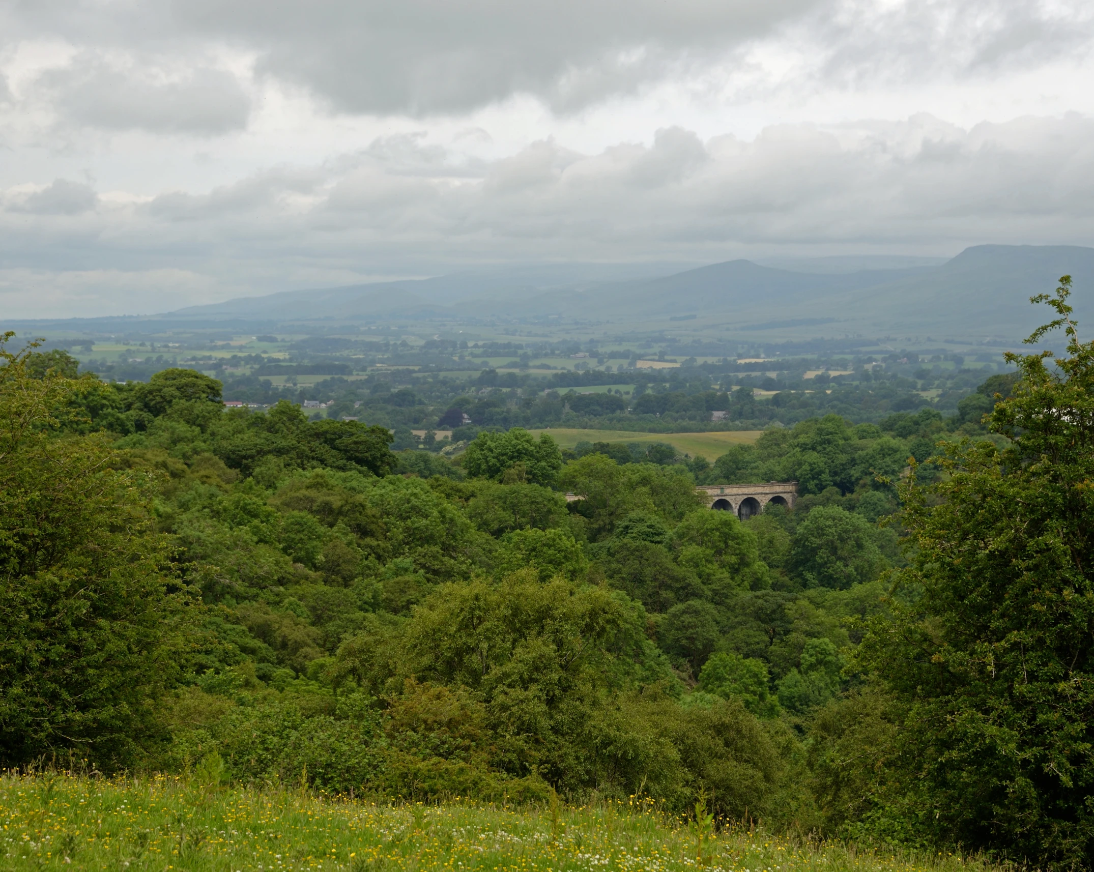 a view of the countryside with trees in the foreground