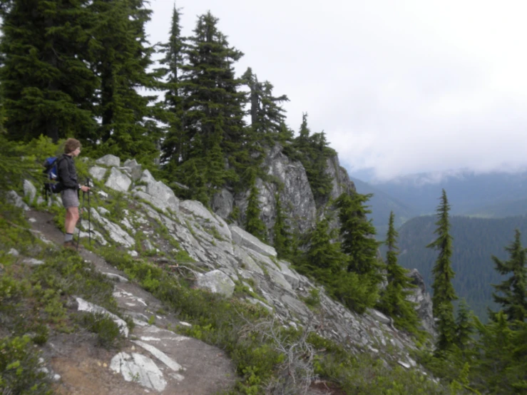 a person hiking up a hill next to many trees