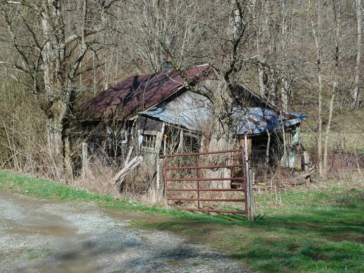 an old run down building sits in the woods