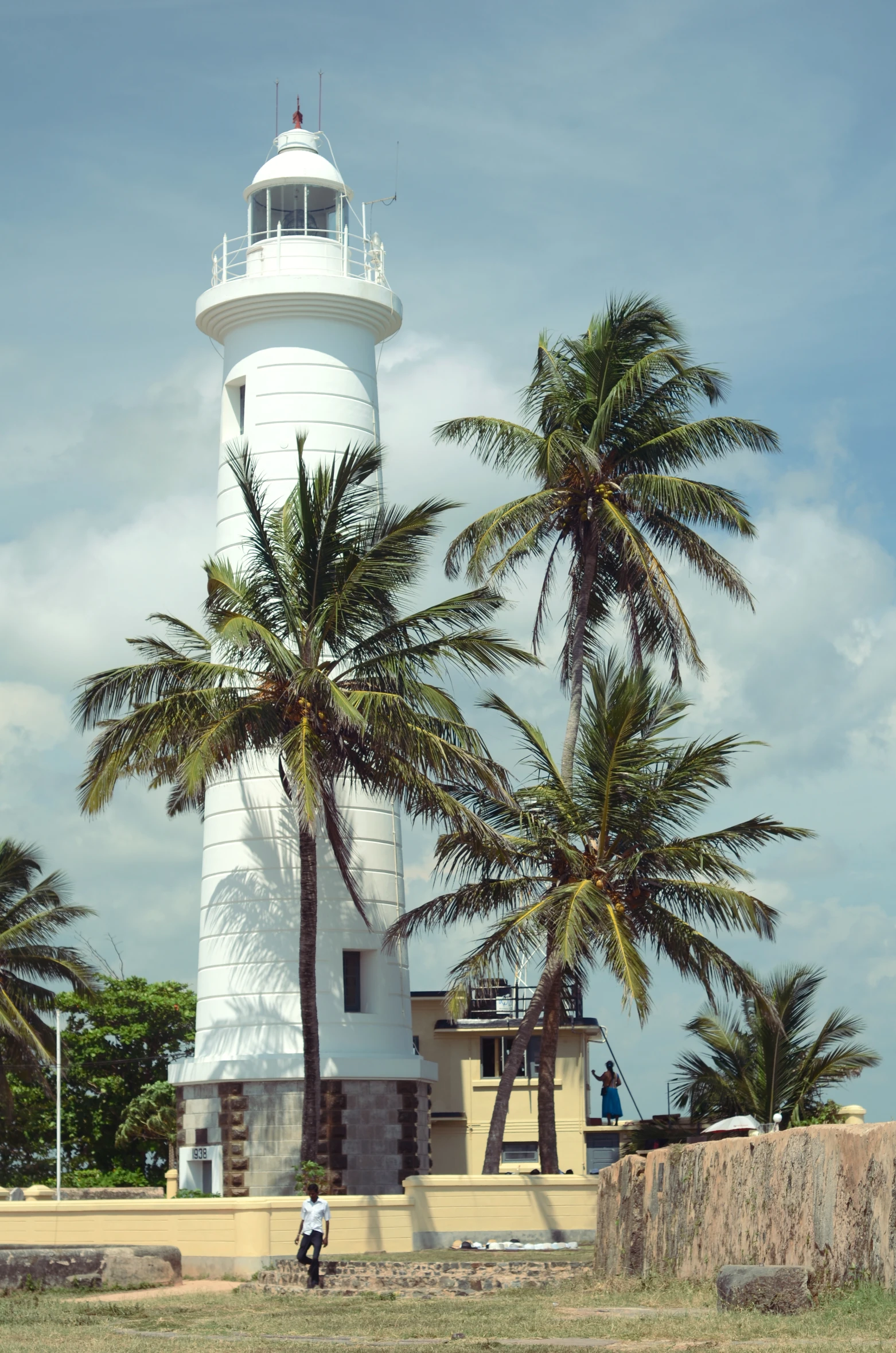 a man is standing near some palm trees