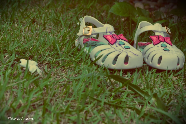 some very cute shoes in the grass