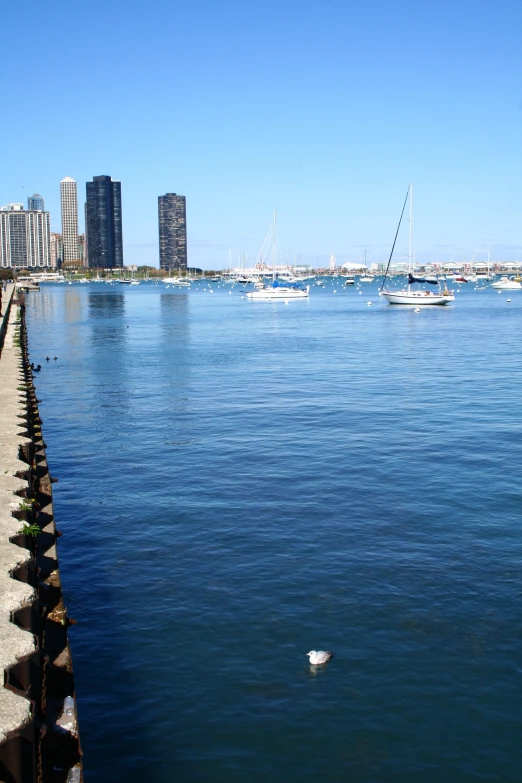 a harbor with small boats, buildings and tall buildings