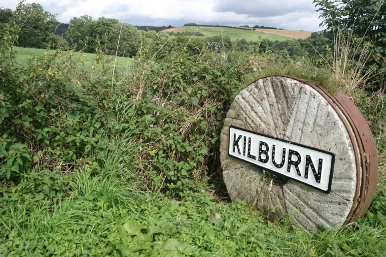 sign in field of overgrown grass on cloudy day