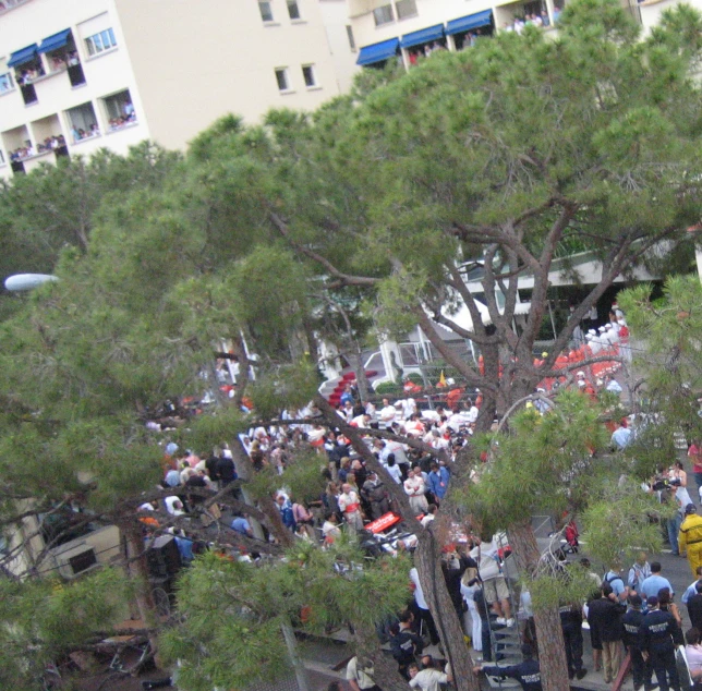 a large crowd is shown behind some trees