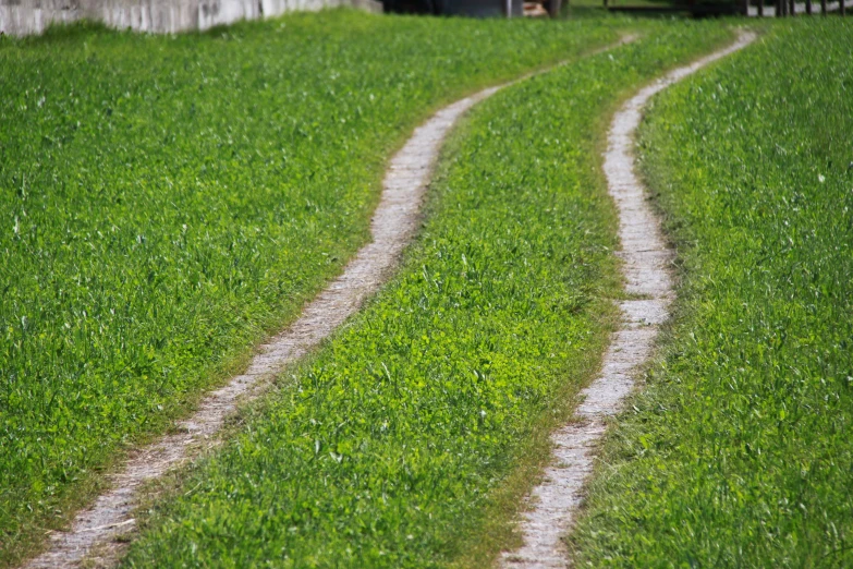 two trails made by the grass lead into a barn