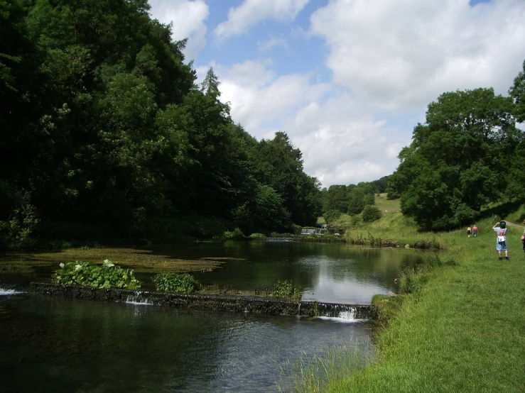 people standing on the side of a river in a grassy area