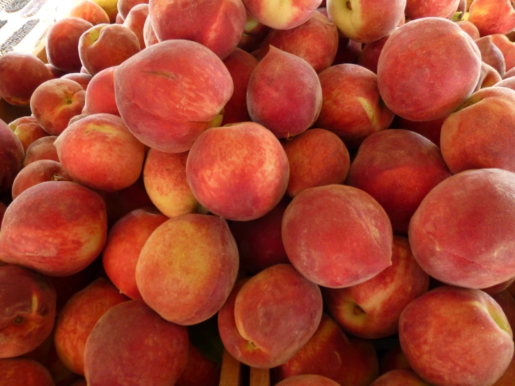 a bunch of peaches that are sitting on display