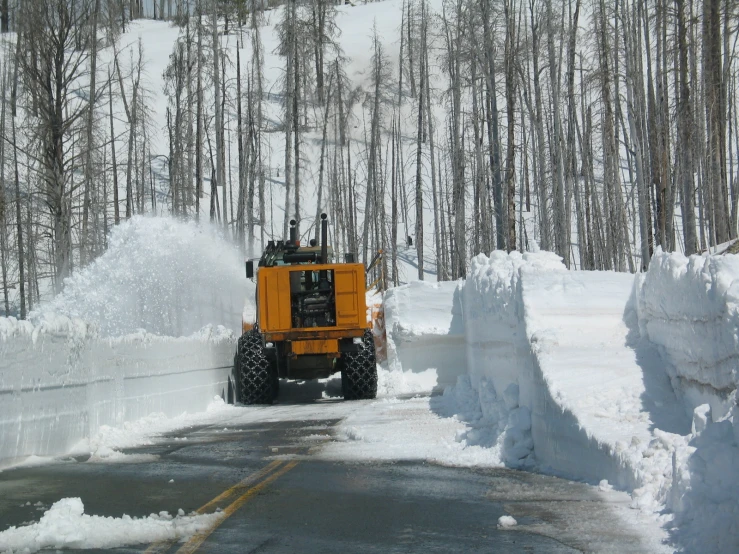 a tractor clearing snow from the street by a forest