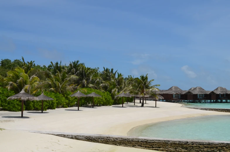 a beach area with blue waters and green palm trees