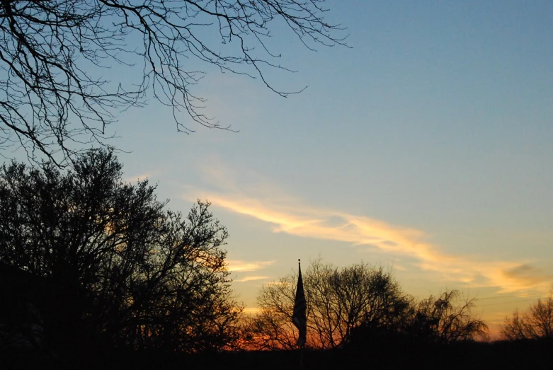 a tree is silhouetted against the sky at sunset