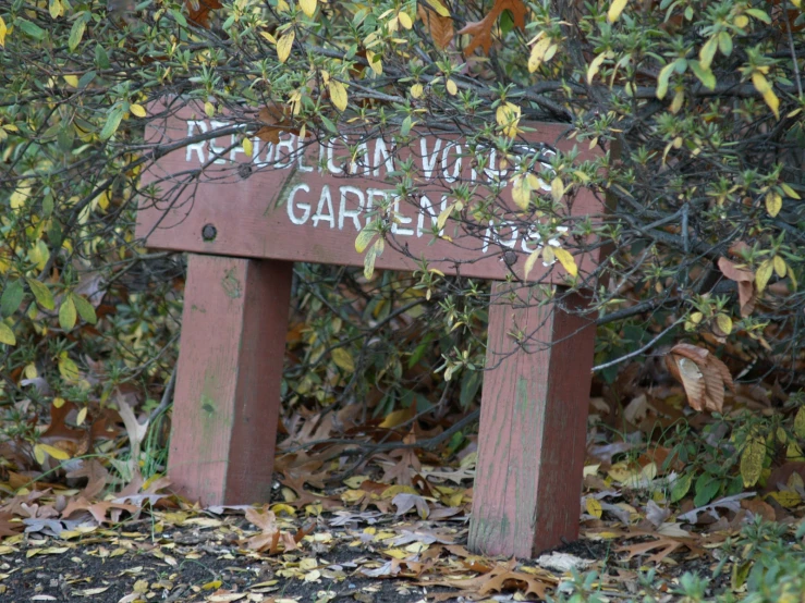 a wooden bench sits amongst some leaves