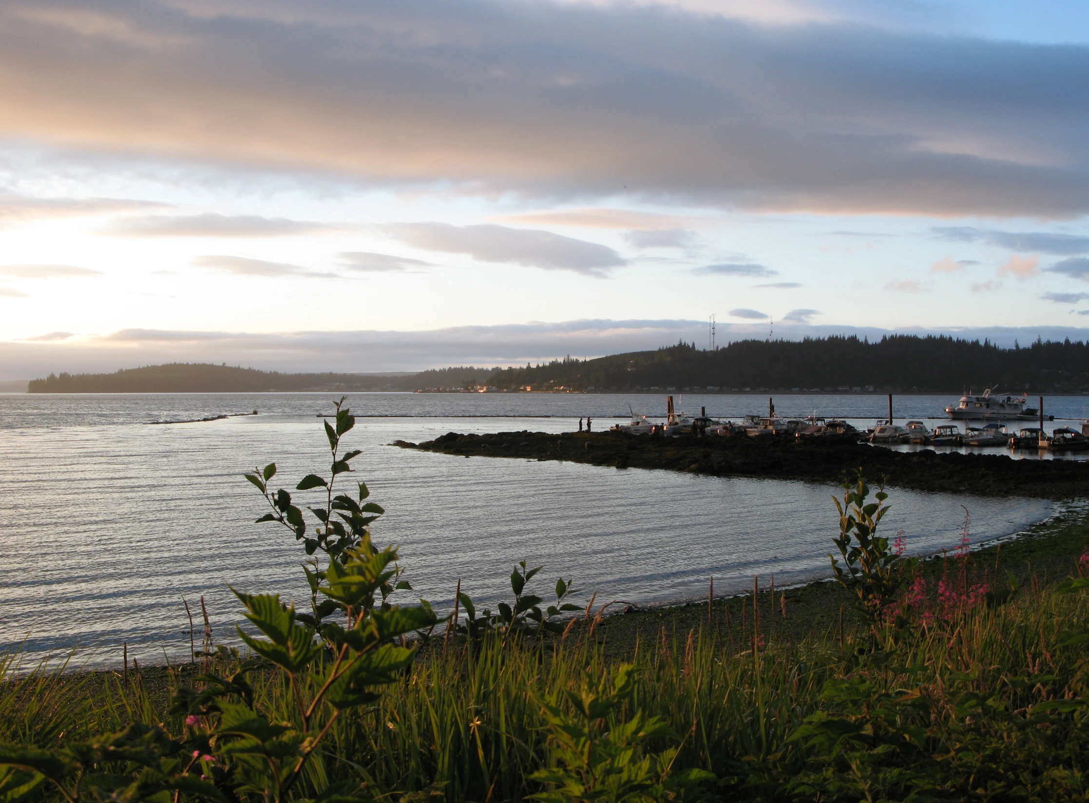 boat dock on the shore with boats parked and green vegetation