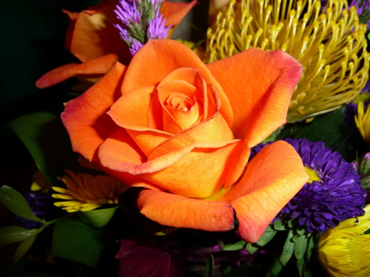 a single orange rose is surrounded by different colors of flowers