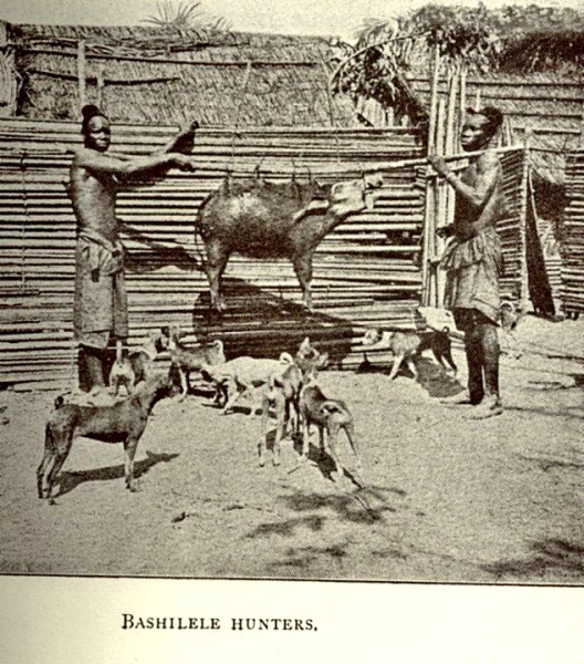 a picture from a book showing a person and many animals