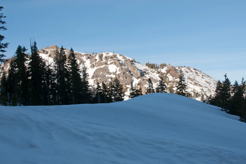 a skiier descending up the slopes surrounded by evergreens