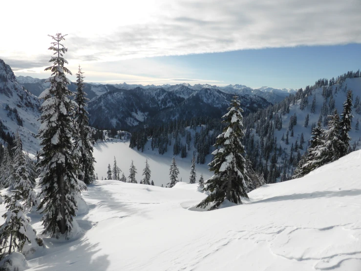 a lone ski slope with trees, snow and mountains in the background