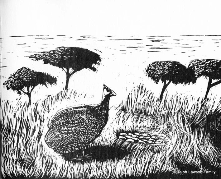 a black and white drawing of a peacock near trees