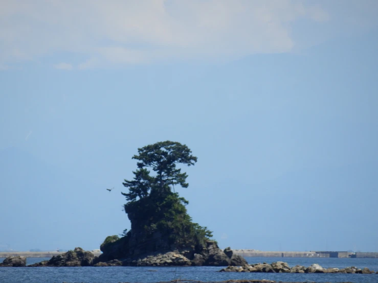 a single tree is growing on an island in the ocean