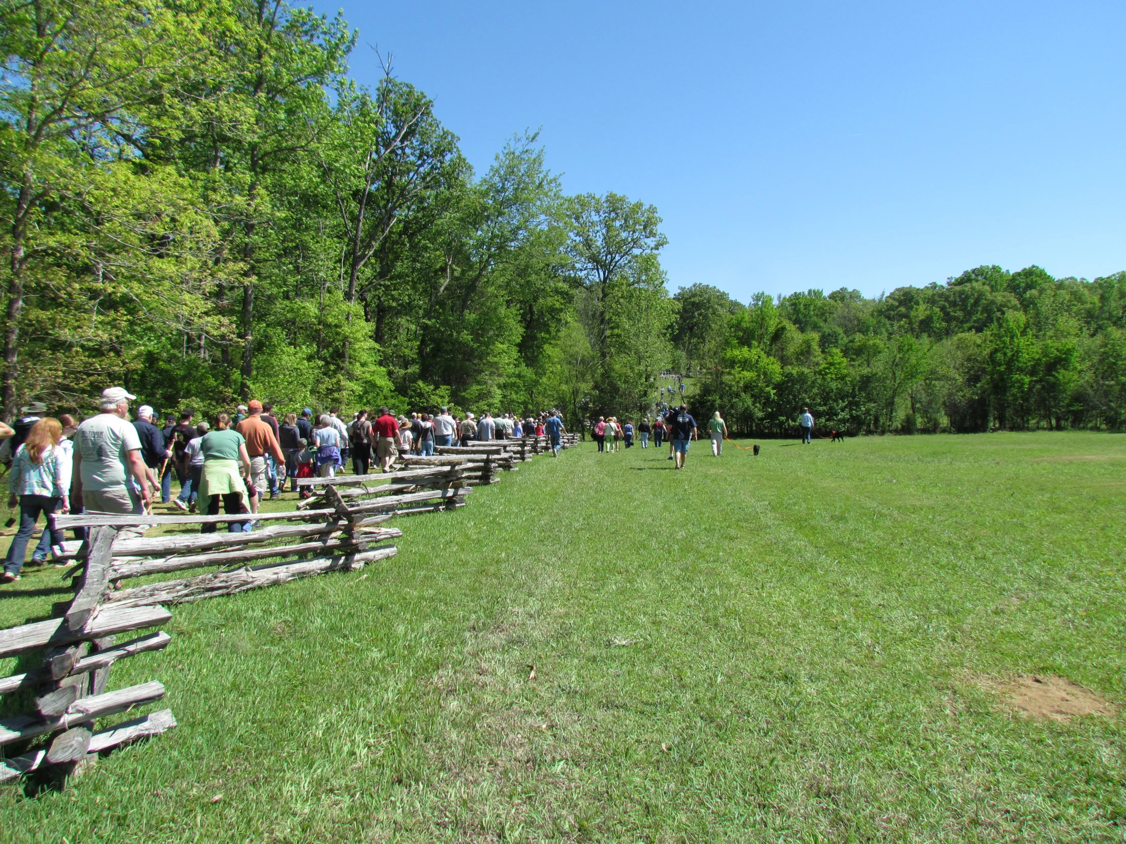 a line of people standing near a grassy field