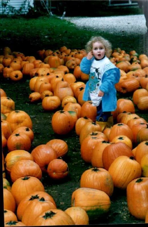 a little girl standing in the middle of a field of pumpkins