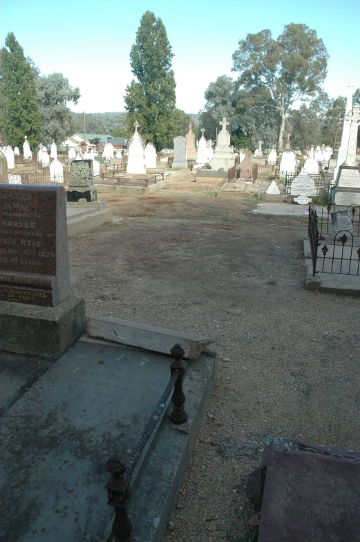 the cemetery has an old tombstone with trees in it