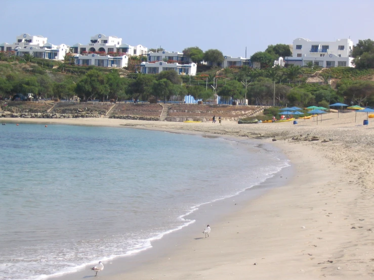 the beach has blue umbrellas along the shoreline