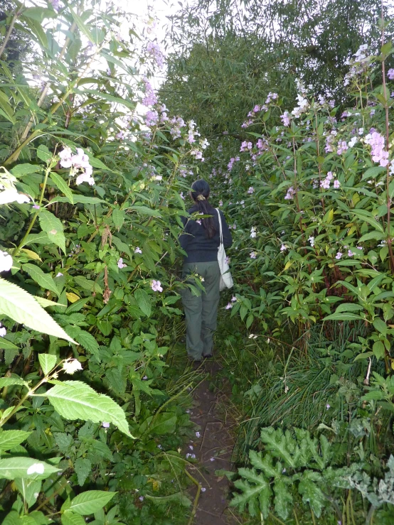 man with camera in an overgrown area of forest