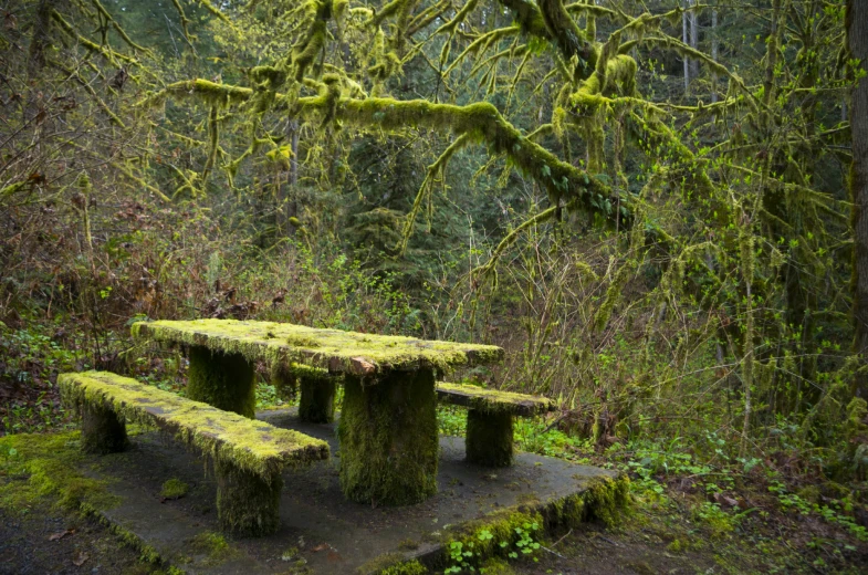 mossy stone bench made to look like an owl