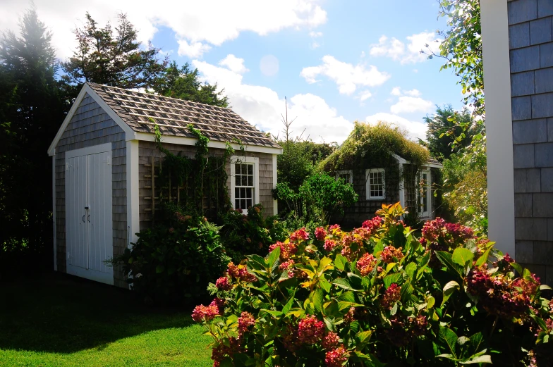 an outside garden with a little shed and bushes