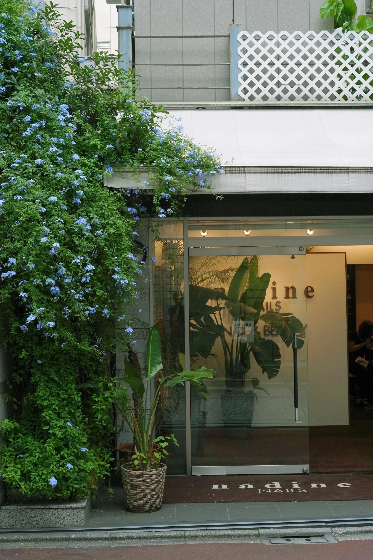 two planters sit in front of a large window