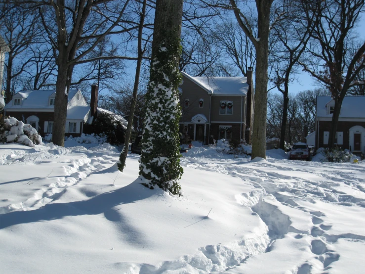 a winter scene shows snow on the ground, trees and houses