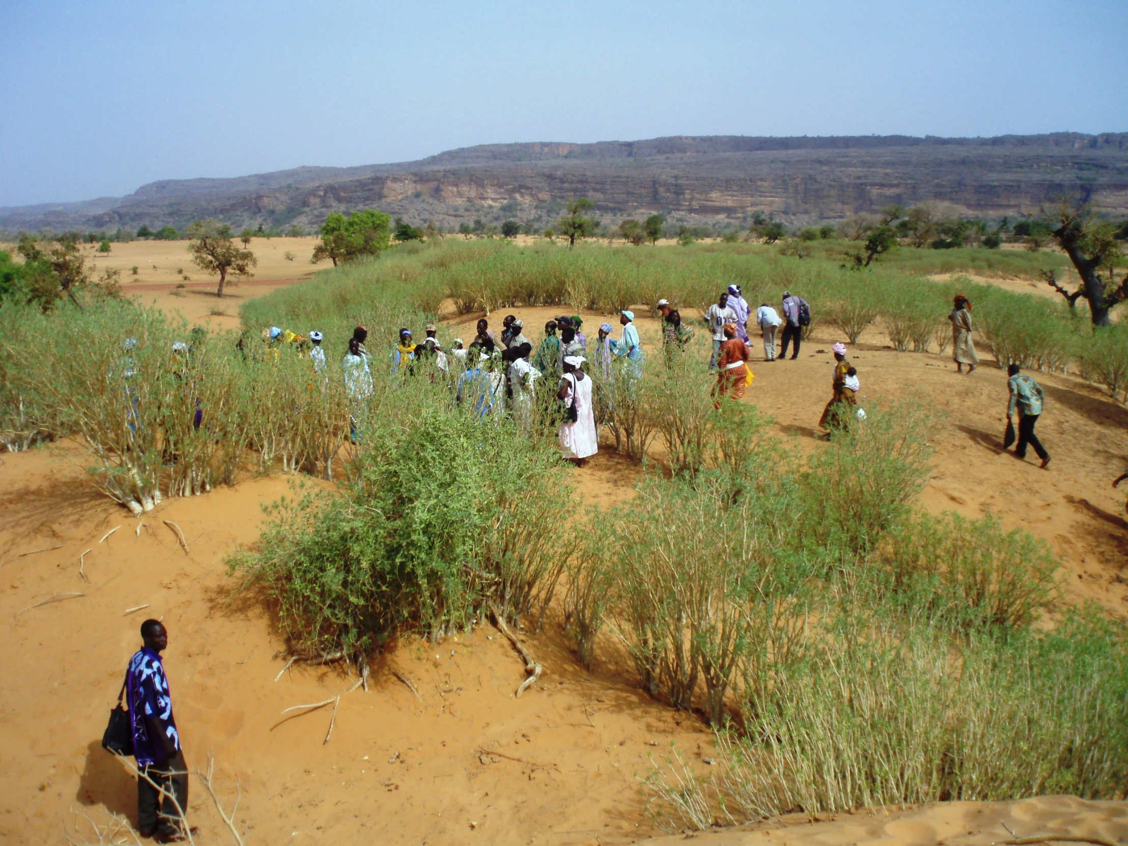 many people are walking and sitting in the dirt in the field