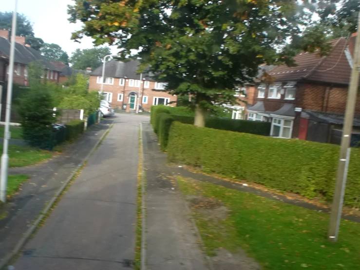 a long empty driveway that has trees and hedges on both sides of it