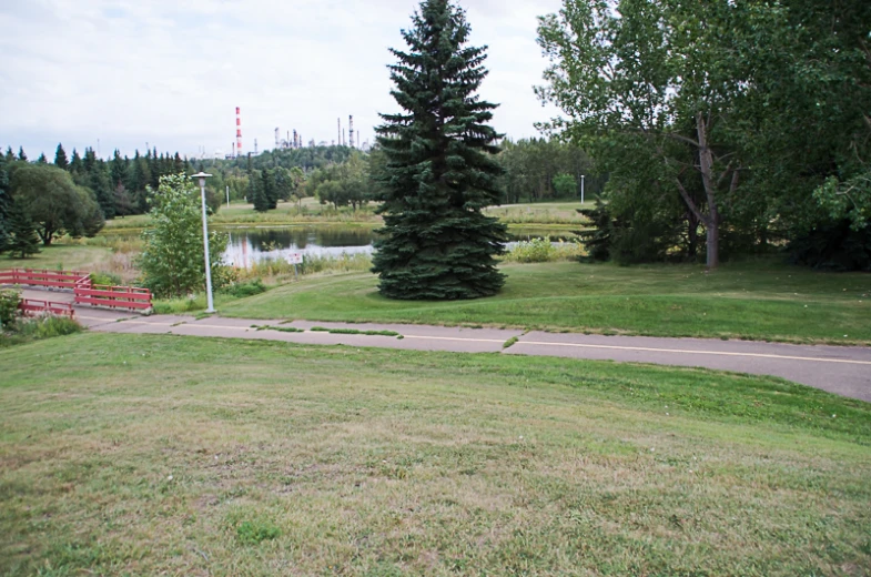 a field with benches and water near a road