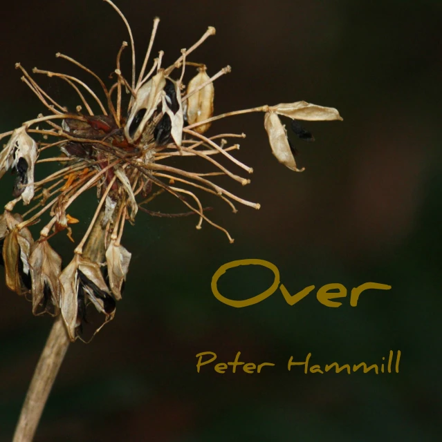 close up of a dandelion flower with the words over in yellow