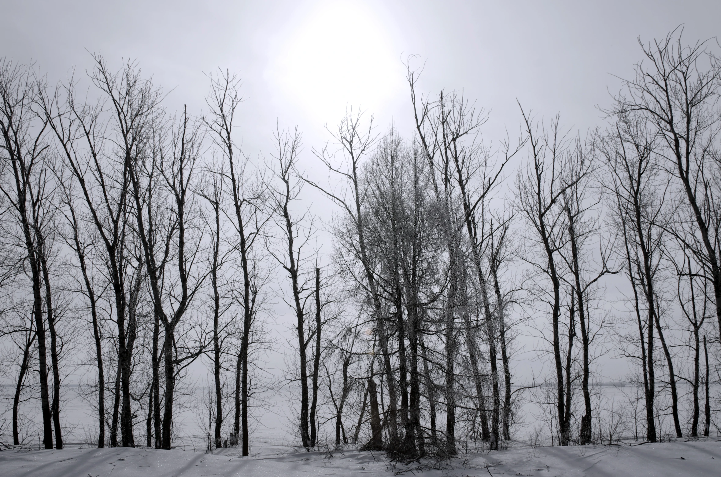 the sun is setting over a snowy hillside