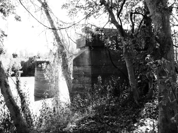 a tree that has some plants near a stone bridge