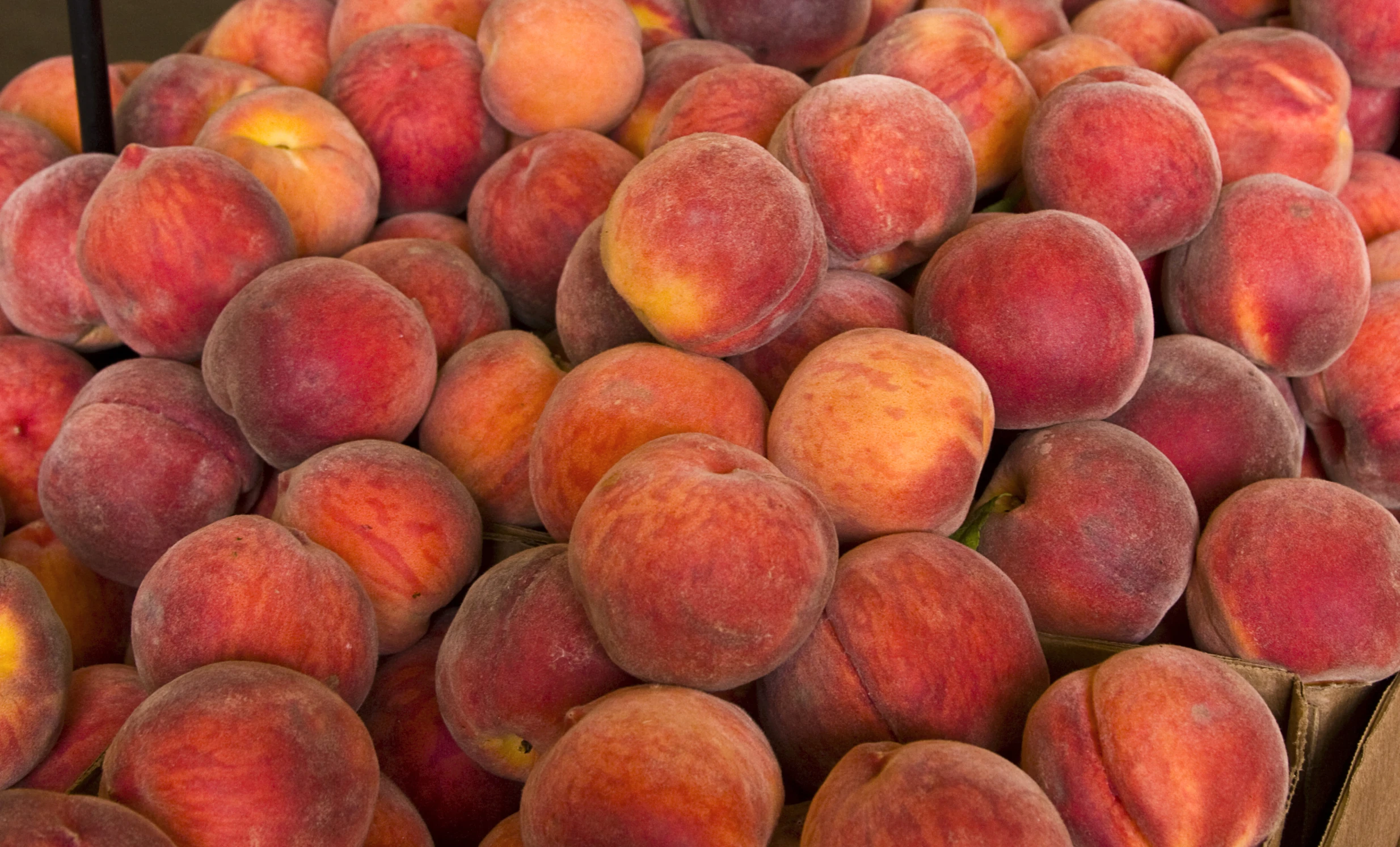 some apples are piled up together to be sold